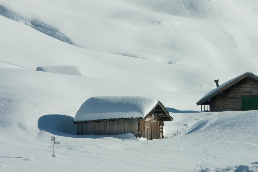 Alpenappartement Bergkoenig Warth  Dış mekan fotoğraf