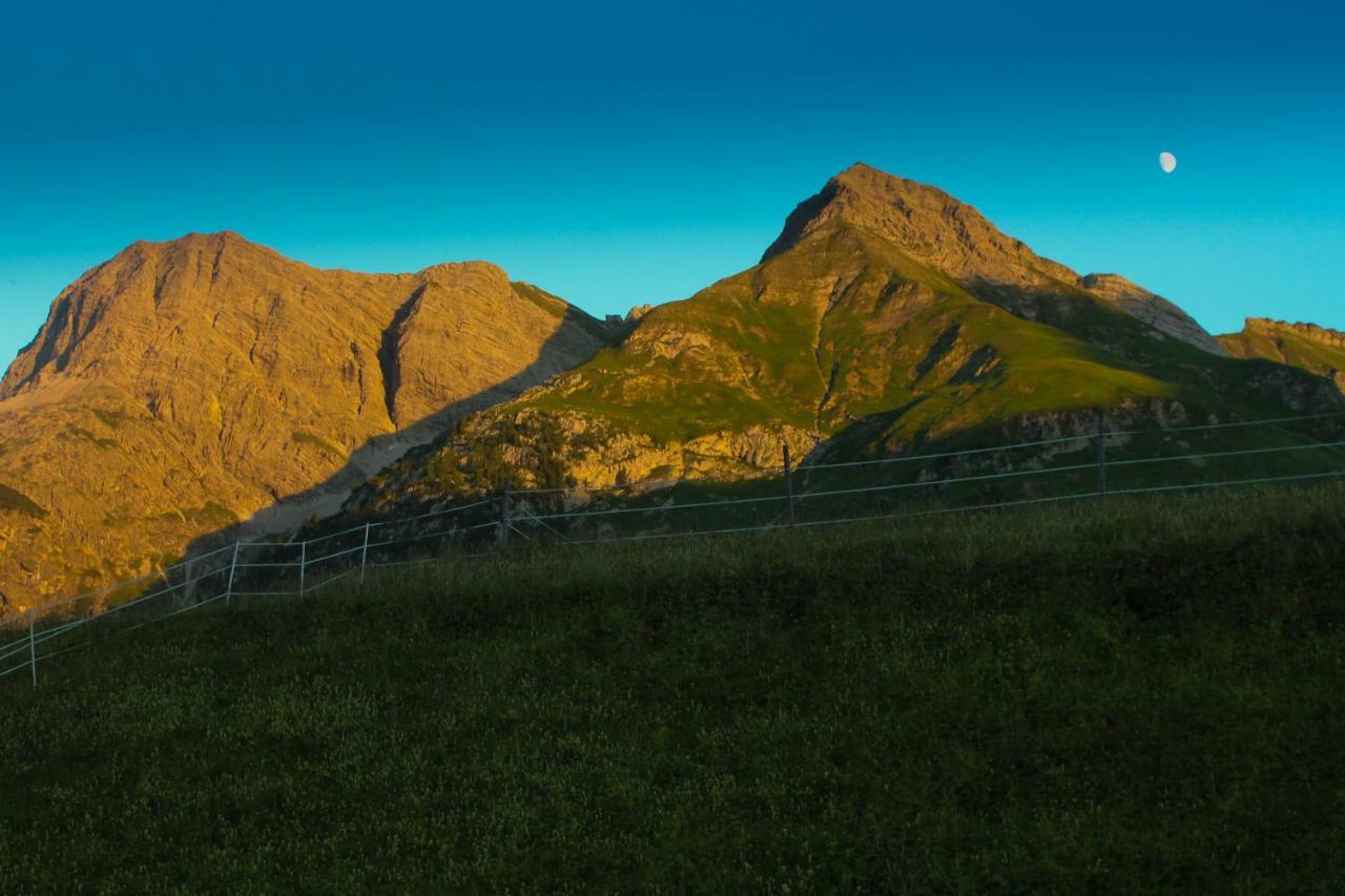 Alpenappartement Bergkoenig Warth  Dış mekan fotoğraf